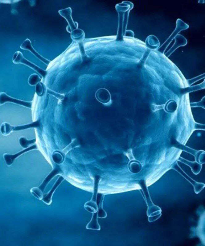 انتقال ویروس HPV از استخر واقعیت دارد ؟؟